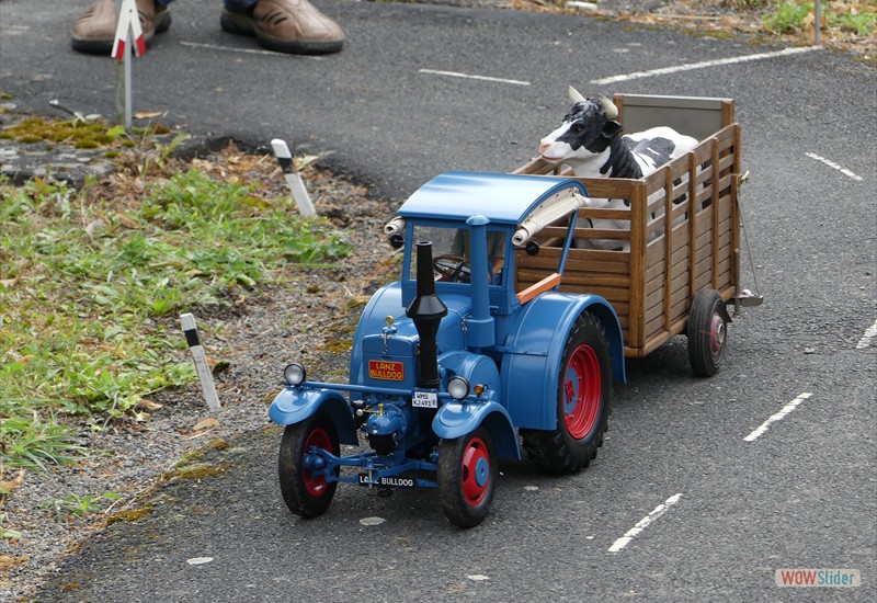 Transport auf die Alm.